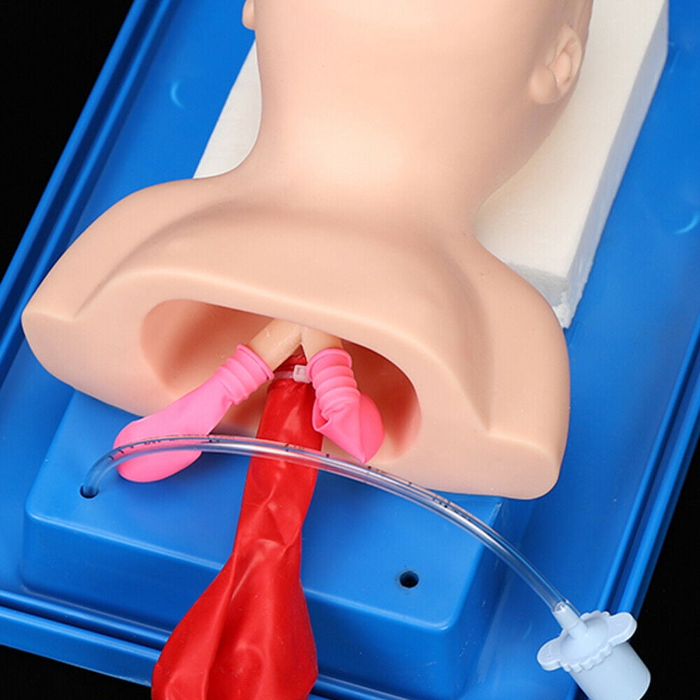 Intubation Manikin, Study Teaching Baby Model Lab Airway Management Training Infant Tracheal Manikin with Tube