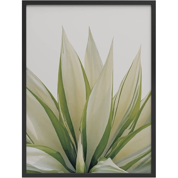 PixonSign Framed Wall Art Print Light Green Leaf Bunch on White Background Nature Plants Photography Realism Modern CloseUp Relax/Calm Multicolor Warm for Living Room, Bedroom, Office - 12"x16" BLACK