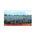 thumbnail image 3 of Pack de 12 Tequila El Charro Reposado Dos Botellas 750 ml, 3 of 3