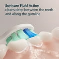 thumbnail image 6 of Philips Sonicare C2 Plaque Control - Genuine Replacement Electric Toothbrush Heads, White, 4 Pack One Year Supply, HX9024/77, 6 of 19