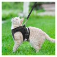 thumbnail image 5 of Jinsinto Reflective harness, Adjustable harness, Harness with leash, Puppy harness, Cat harness (red- M), 5 of 5