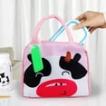 thumbnail image 5 of Bolsa De Almuerzo Para Niños, Bolsa Bento Escolar, Fiambrera Enfriador De Comidas 5L B, 5 of 5