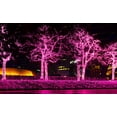 thumbnail image 3 of 612 Vermont 50 Pink Christmas Lights on a White Wire String, Indoor and Outdoor Use, 9' Lighted Length, 11' Total Length, 3 of 5