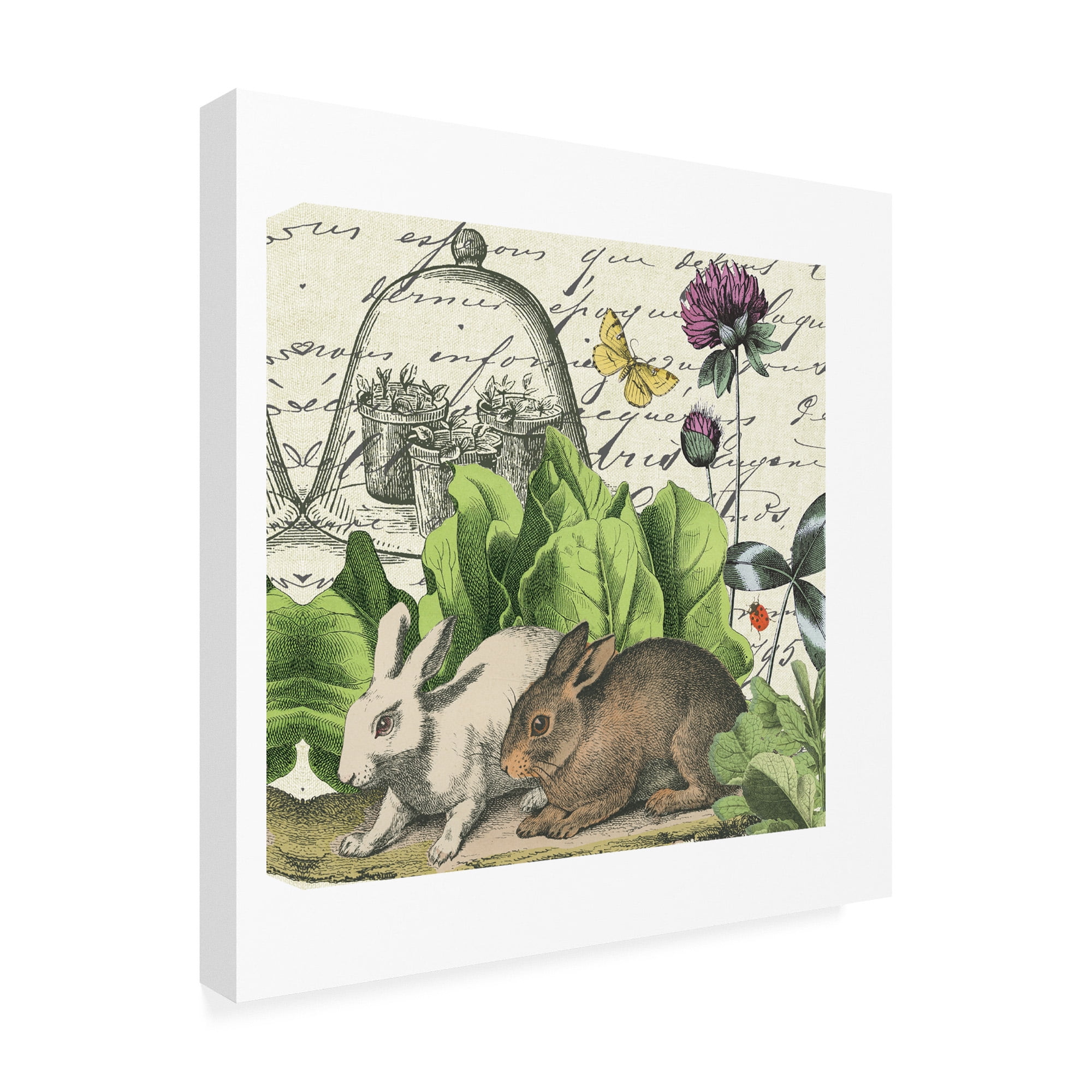 Garden Rabbit II' Canvas Art by Wild Apple Portfolio