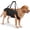 Black, variant on Dog Full Body Lift Harness, Support Sling Backpack for Senior Disabled Dogs, Front Hind Leg Joint Injuries, Help Up & Down Stairs Walk Hiking Grooming Harness, Reflective, Soft Padded Handle