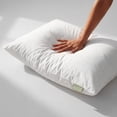 thumbnail image 2 of Almohada King de algodón orgánico Avocado Green Mattress, 2 of 9