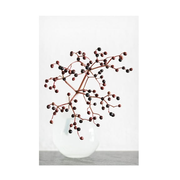 Trademark Fine Art Pictufy Studio Vase Berries Canvas Wall Art