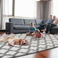 thumbnail image 6 of 4x5.8 Plush Area Rug, High Pile Rugs for Living Room, Ultra Soft Indoor Carpet for Bedroom, Kids Room, Playroom, Home Decor, Geometric, White/Black, 6 of 18