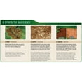 thumbnail image 3 of Scotts EZ Seed - Bermudagrass, 3.75-Pound, 3 of 3