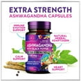 thumbnail image 5 of Ashwagandha Supplements 2100mg - Max Absorption with Black Pepper Extract, Extra Strength Ashwagandha Capsules with 100% Plant Powder & Root Extract, Non-GMO, Bottled in USA - 60 Vegetarian Capsules, 5 of 10