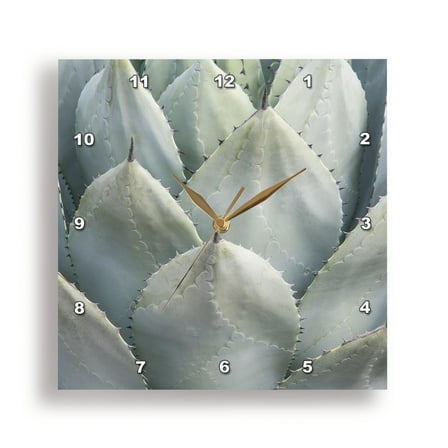 3dRose, Arizona, Phoenix. Desert Botanical Garden, agave, 15x15 Wall Clock