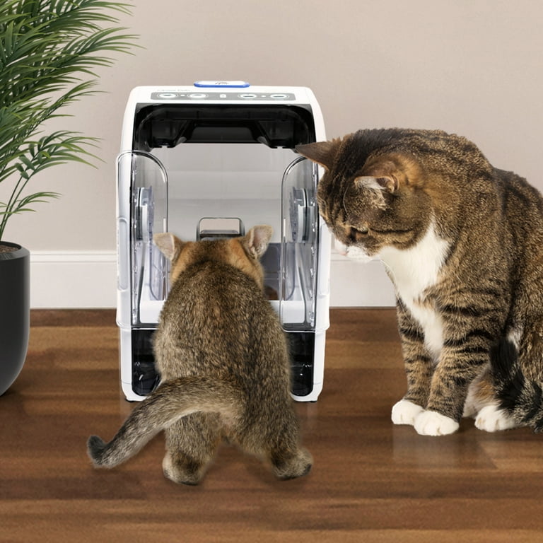 Microchip Automatic Cat Feeder Chip Reading Cat Feeder MiBowl
