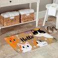 thumbnail image 2 of FJPT Hello Cats Non Slip Flannel Polyester Floor Mat For Bathroom Kitchen Bedroom Decor 31.5x19.7 inch, 2 of 5