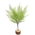 thumbnail image 3 of TNOBHG Realistic Artificial Fern Artificial Fern Realistic Reusable Faux Greenery for Home Wedding Party Indoor/outdoor Garden Yard Decoration Photo Props, 3 of 8