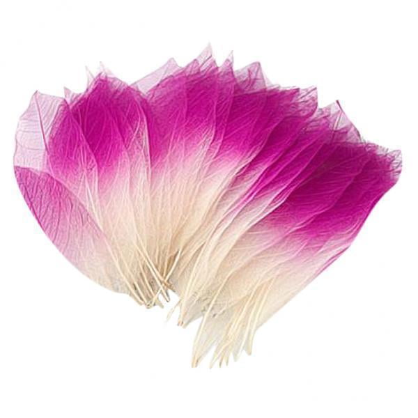 Abbracc 4- 50 Pcs Feuilles de Squelette de Magnolia Naturelles - 4 Pcs