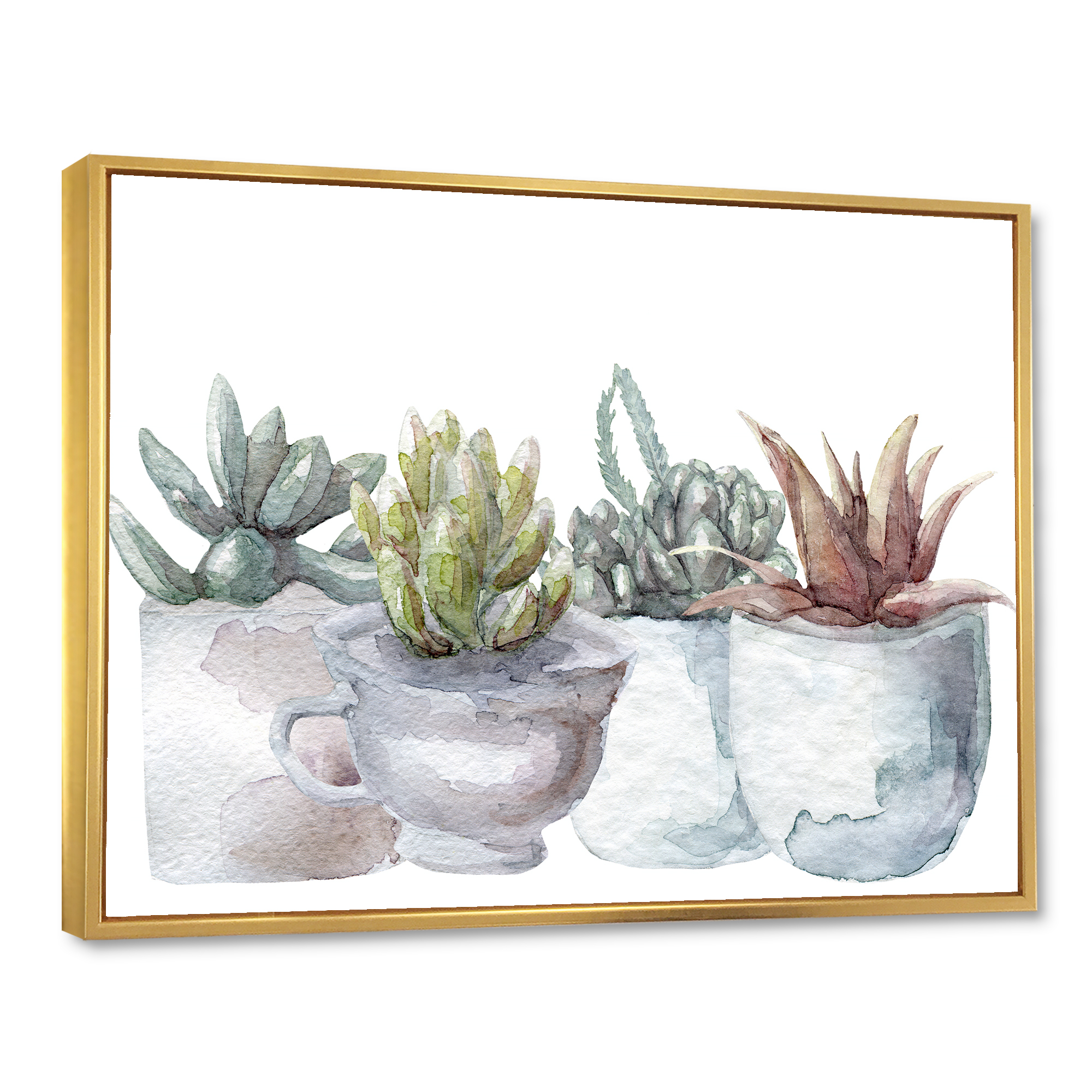 Designart 'Succulent and Cactus House Plants IV' Farmhouse Framed Canvas Wall Art Print