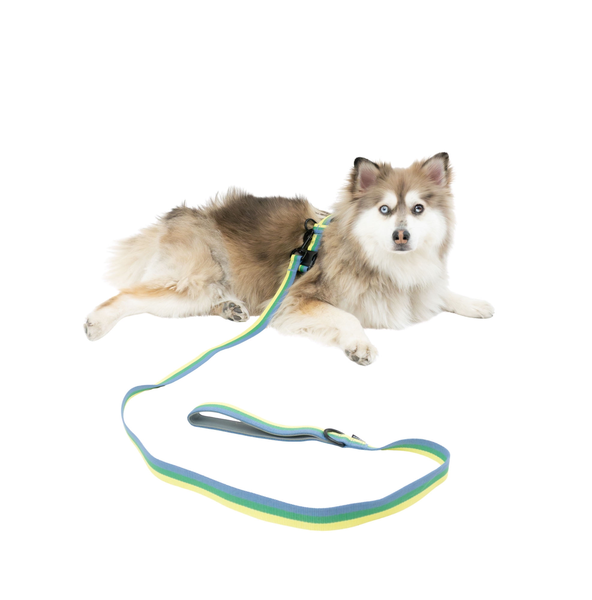 One Paw, lot de 3 harnais et laisses pour chien avec porte-sac à crottes, plusieurs tailles, bleu, chiens