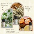 thumbnail image 4 of Set de aceites aromáticos ARVIDSSON Hotel Difusor Oils Set de regalo, 4 of 7