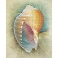 thumbnail image 2 of Hunziker, Steve 12x14 White Modern Wood Framed Museum Art Print Titled - Aquatica III, 2 of 4