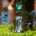 thumbnail image 6 of Kingsyard Glass Hummingbird Feeder with 6 Feeding Ports and Ant Moat, 16 oz, Leak Proof, Green, 6 of 9