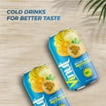 thumbnail image 5 of VINUT Mixed Fruit Juice, Passion Fruit, Pineapple, Banana, Mango,100% freshly squeezed, Not from Concentrate, (11.1 fl oz-Pack of 6), free from Gluten, GMO, any artificial preservatives, flavor, 5 of 6