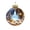 #01-A, variant on Fievgin Glowing Christmas Story Ornament, Light Up Mini Holiday Scene Transparent Globe with Warm LED for Tree Window Mantel