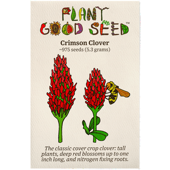 Crimson Clover Seeds