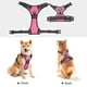 thumbnail image 5 of Arnés para perros PoyPet sin tirones, reflectante, ajustable, rosa, XS, 5 of 6