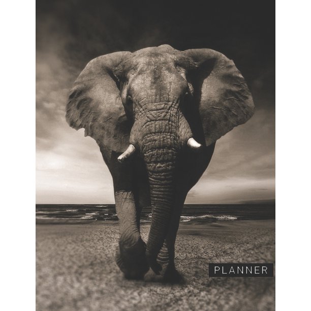 Planner: Elephant Design 2 Year Monthly Planner with Note ...