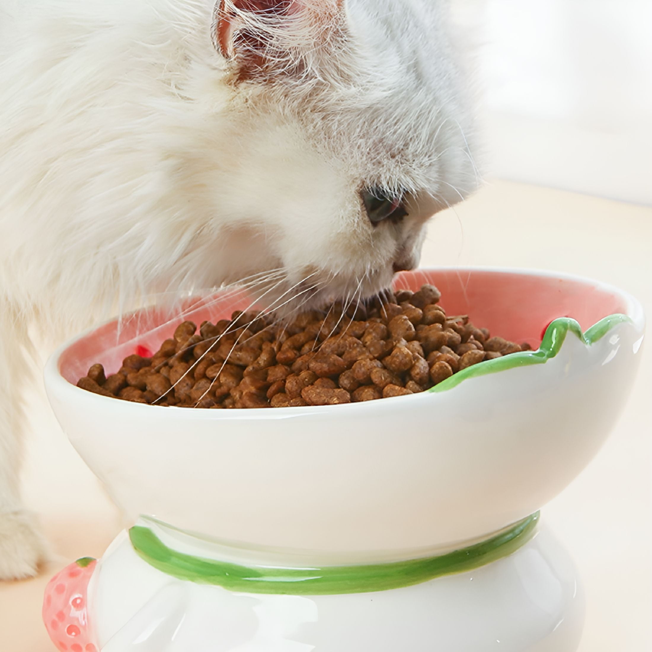 ACDANC 2026 New Ceramic Raised Cat Bowls Elevated Tilted Cat Food and Water Bowl Pet Feeder Dish for Cats and Dogs for Home,Kitchen,Pet Store,Travel