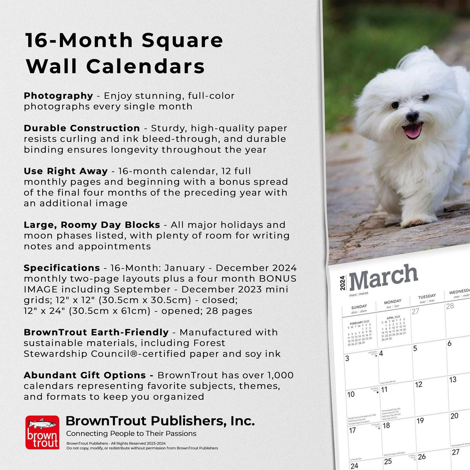 BrownTrout Maltese 2024 12x24 Inch Square Wall Calendar, 9781975463830