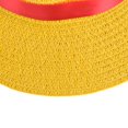 thumbnail image 4 of POINTERTECK 1PC M Monkey D Luffy Anime Cosplay Straw Boater Beach Hat Cap Halloween Gift, 4 of 6