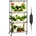 thumbnail image 1 of Soporte para plantas con luz de cultivo VEVOR de 4 niveles, 45 W, espectro completo, 1 of 9