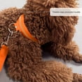 thumbnail image 2 of Pet Light Up LED Collar Dog Leash, Silk Mesh Nylon Light-emitting Small Collar, Water-Resistant Glow, 2 of 8