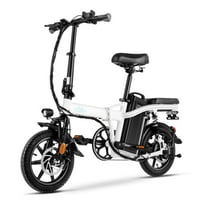 FIIDO L2 350W Electric Bike