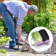 thumbnail image 6 of lanema Mason Jar Sprouting Set with Drip Tray&Light Blocking Cover for Healthy Seedling, 6 of 8