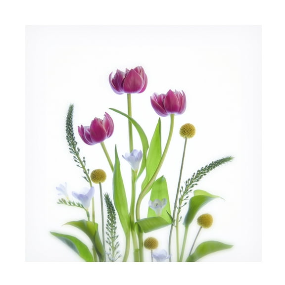 Canvas Wall Art - Catherine W 'Together' Wall Art for Living Room, Bedroom, or Office Décor by Trademark Fine Art - 14 x 14 Inches