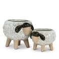 thumbnail image 2 of Sheep On Legs Planter, 2 of 3