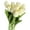 Milky White, variant on Ludlz 10Pcs/Set Real-touch Artificial Tulip Flowers Home Wedding Party Decor Artificial Tulip Flowers Home Wedding Party Decor Gift Photograph Prop