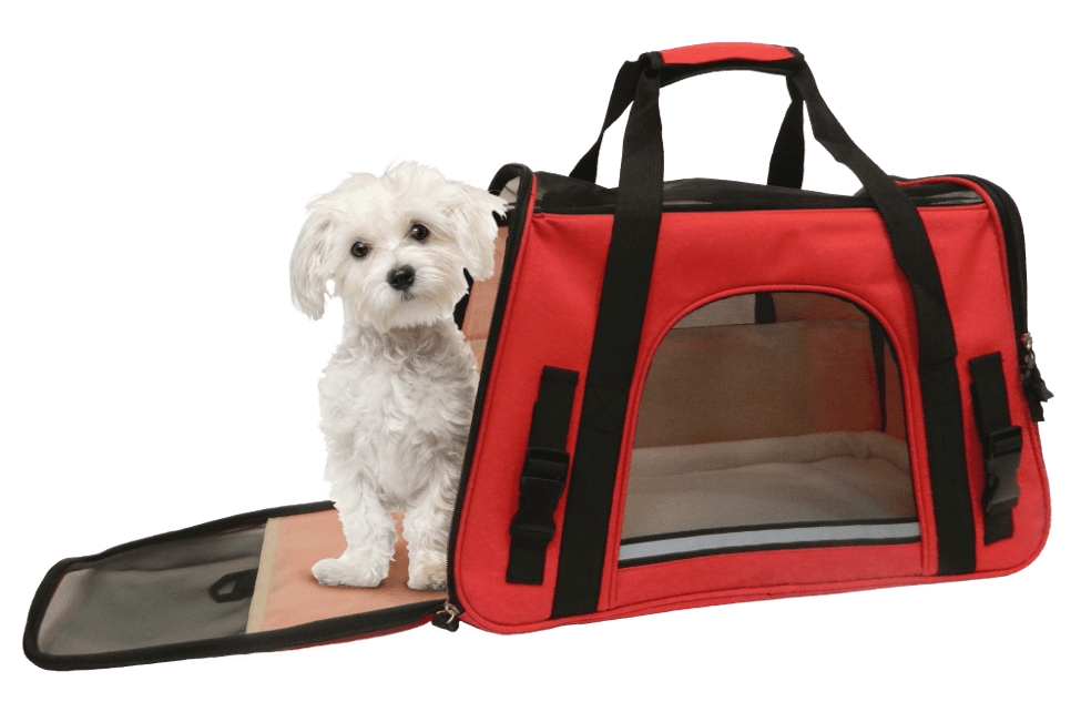 Coleman Red pet travel bag with fleece blanket sheet in the bottom