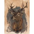 thumbnail image 2 of Green, Jacob 12x14 White Modern Wood Framed Museum Art Print Titled - Red Deer Stag II, 2 of 4