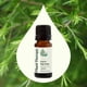 thumbnail image 3 of Plant Therapy Aceite Esencial Orgánico de Árbol de Té, 10 ml, 3 of 9