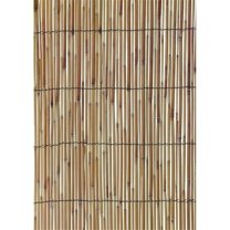 Cuadrado 13 ft. x 6 ft. Natural Reed Fencing, Multicolor