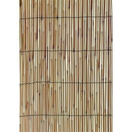 Cuadrado 13 ft. x 6 ft. Natural Reed Fencing, Multicolor