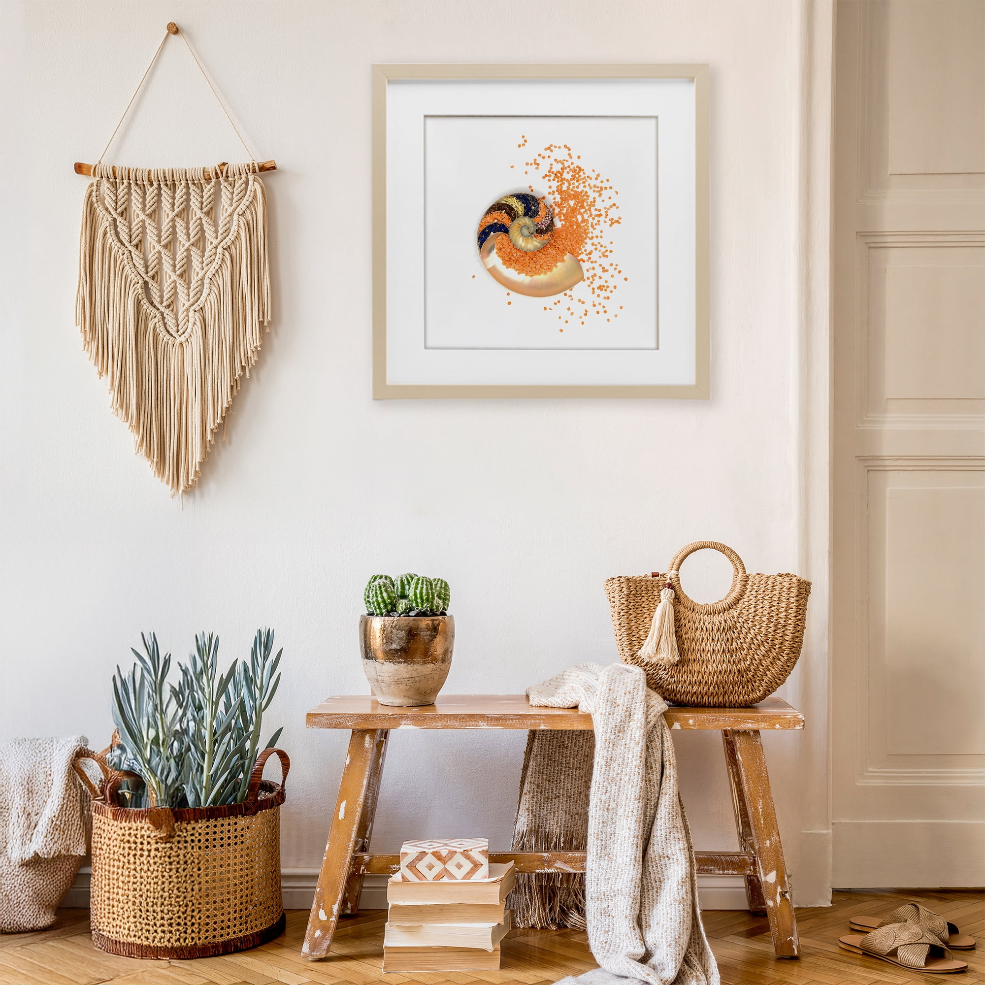 Stupell Industries Orange Nautilus Spiral Birch Framed Print Under Glass, design by Beth Adoette