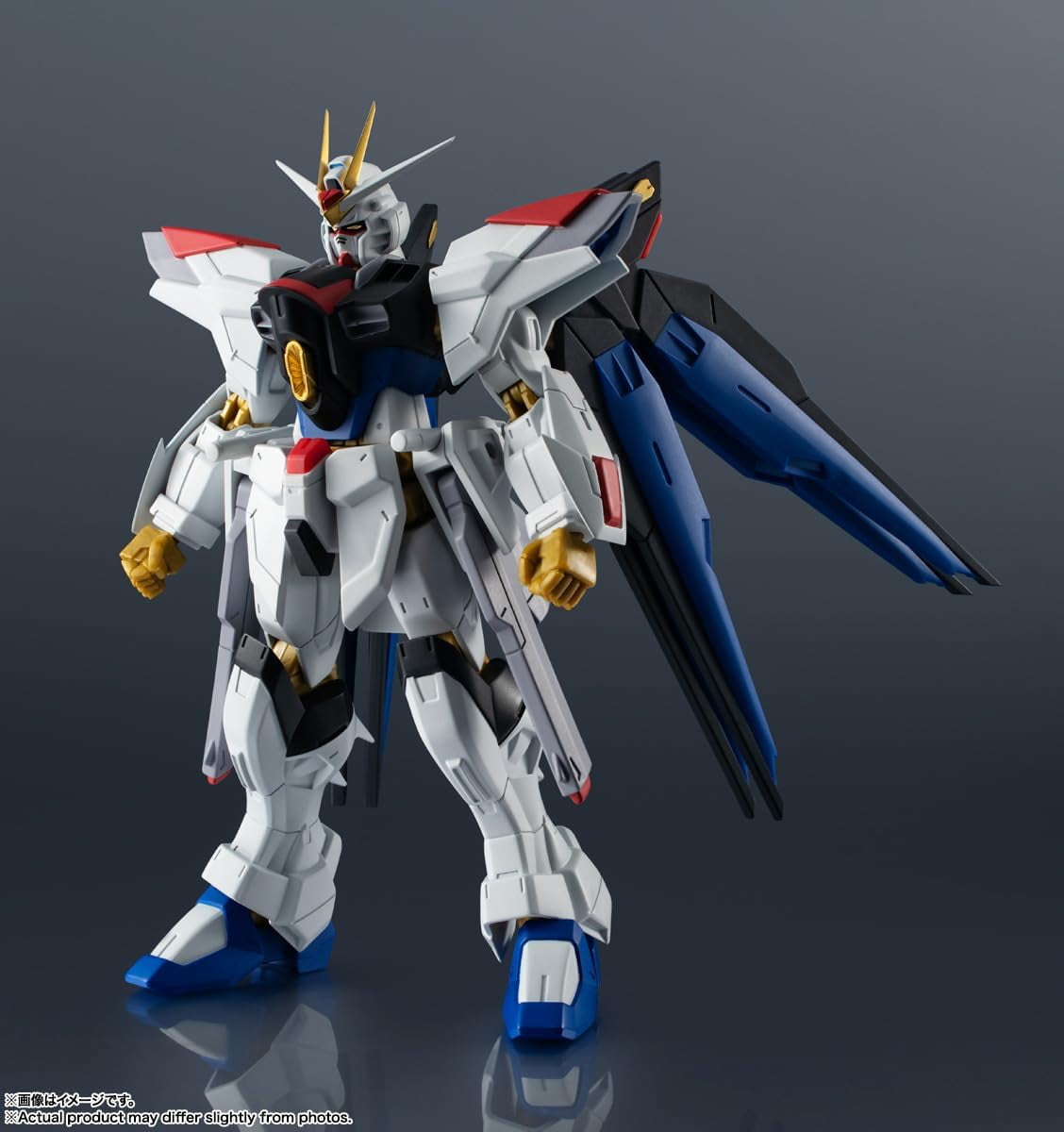 STRIKE　FREEDOM　GUNDAM　TYPEII Metal Robot Spirits Strike Freedom Gundam Type II (Gundam
