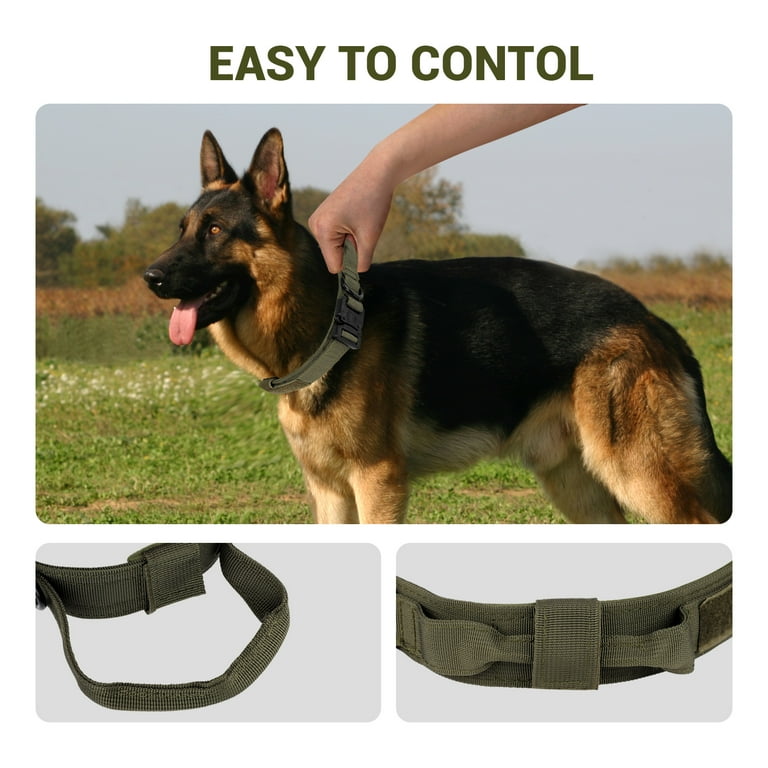 Pinch Collar For Dogs No-Pull Martingale Dog Collar Reflective