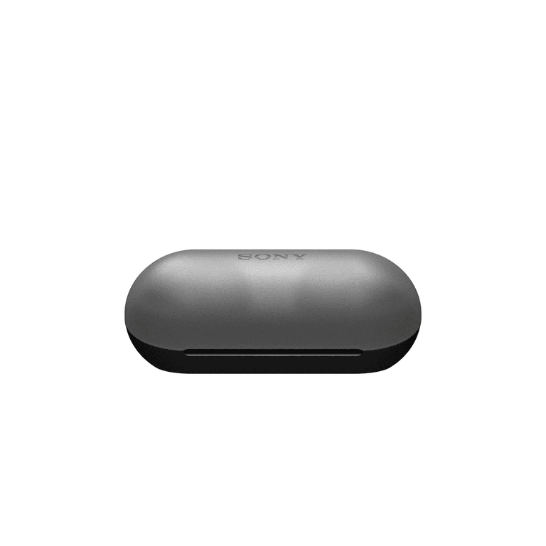 Sony WF-C500 Truly Wireless in-Ear Headphones (Black)