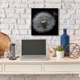 thumbnail image 2 of Stupell Industries Close Up Dandelion Petals Black Brown White Photograph Canvas Wall Art Design by Andre Eichman, 24" x 24", 2 of 6