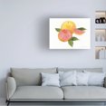 thumbnail image 3 of Kathleen Parr McKenna 'Citrus Garden X' Canvas Art, 3 of 4